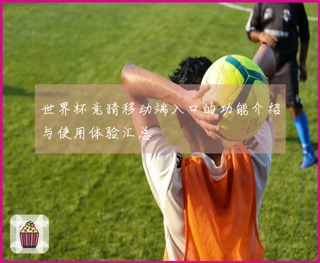 世界杯竞猜移动端入口的功能介绍与使用体验汇总