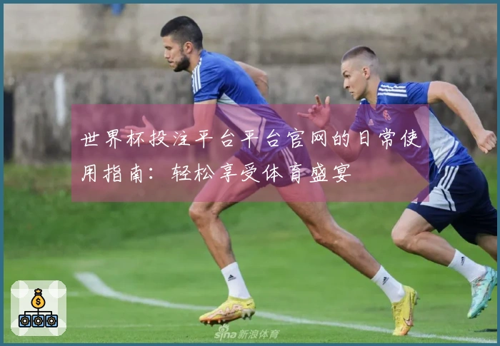 世界杯投注平台平台官网的日常使用指南：轻松享受体育盛宴