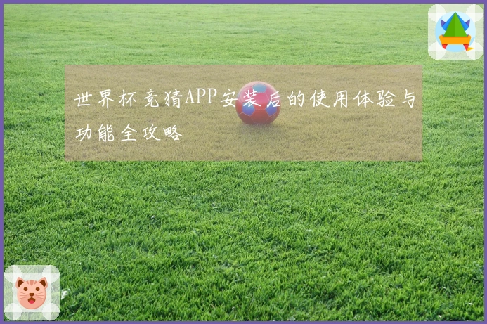 世界杯竞猜APP安装后的使用体验与功能全攻略