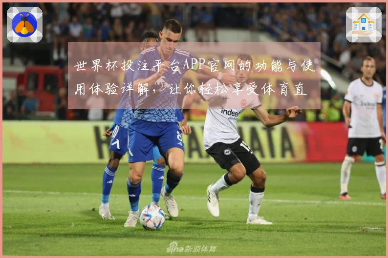 世界杯投注平台APP官网的功能与使用体验详解，让你轻松享受体育直播乐趣