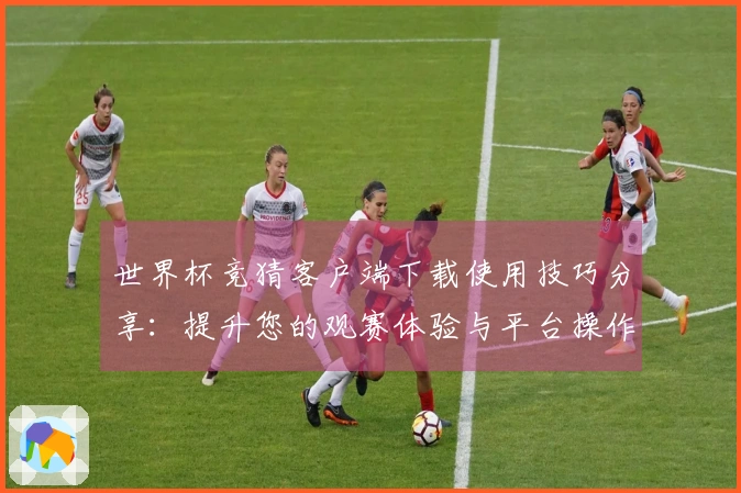 世界杯竞猜客户端下载使用技巧分享：提升您的观赛体验与平台操作指南
