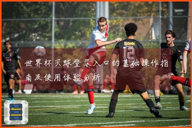 世界杯买球登录入口的基础操作指南及使用体验分析