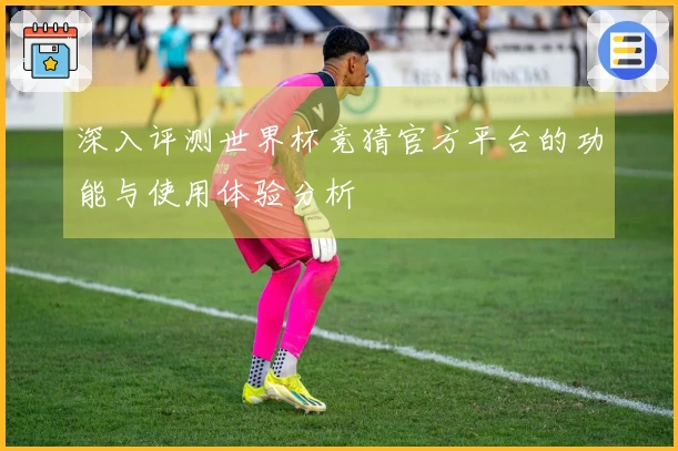 深入评测世界杯竞猜官方平台的功能与使用体验分析
