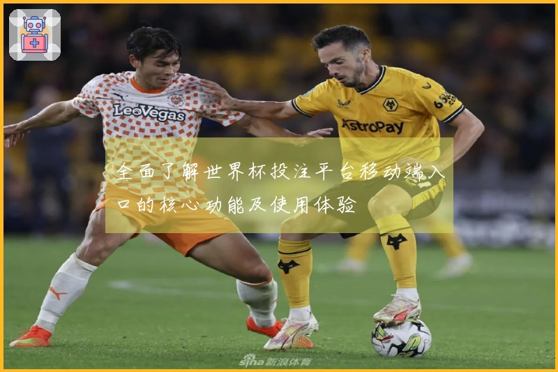 全面了解世界杯投注平台移动端入口的核心功能及使用体验