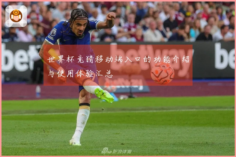 世界杯竞猜移动端入口的功能介绍与使用体验汇总