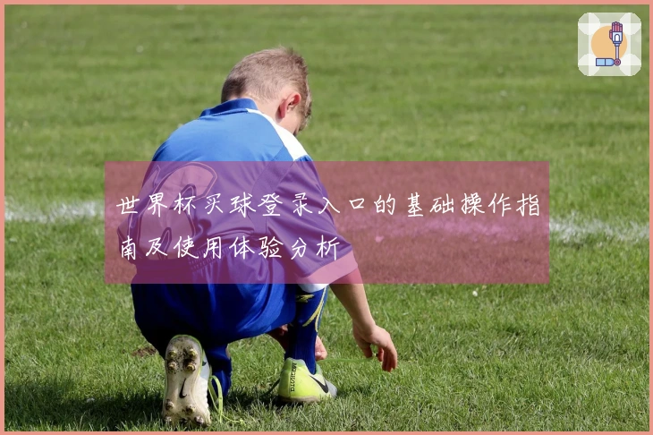 世界杯买球登录入口的基础操作指南及使用体验分析