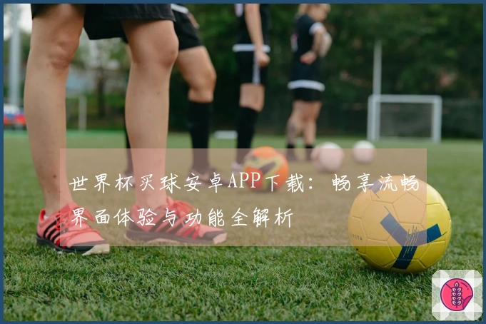 世界杯买球安卓APP下载：畅享流畅界面体验与功能全解析