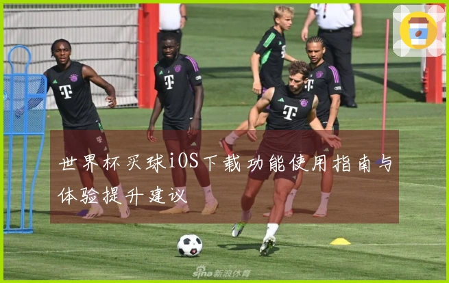 世界杯买球iOS下载功能使用指南与体验提升建议